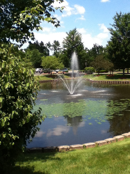 fountain and landscaping