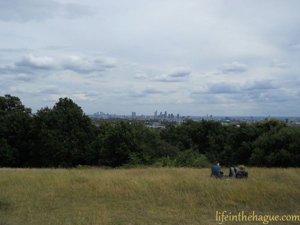 Overlooking London from Primrose Hill