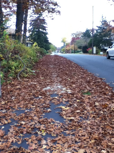 Leaf covered sidewalk in New York October 2012