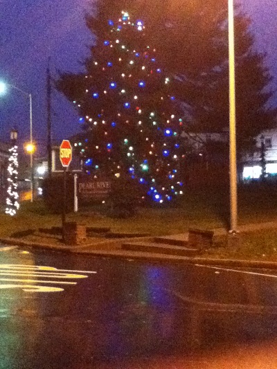local Christmas tree at dawn
