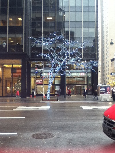 winter tree on 3rd avenue in NYC