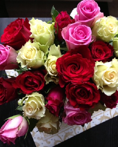 red white and pink Valentines day roses