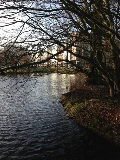 River in the Hague Netherlands