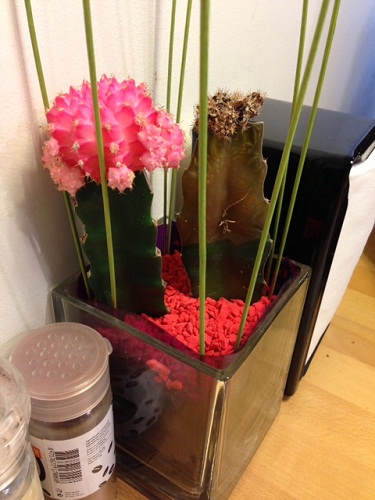 Lebkov and Sons in Den Haag 2