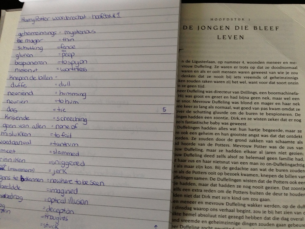 Harry Potter and the Sorcerers Stone in Dutch