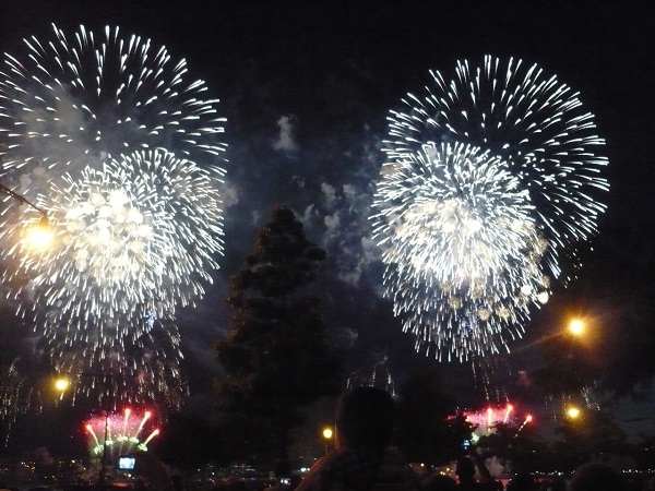 Fireworks July 4 2009 New York City