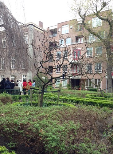 bare tree in April, The Hague