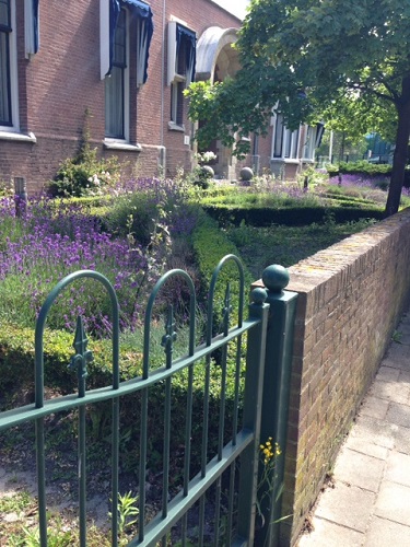 front yard in The Hague
