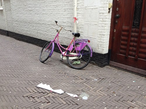 Dutch bike - in purple