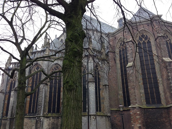 trees in front of a Dutch church