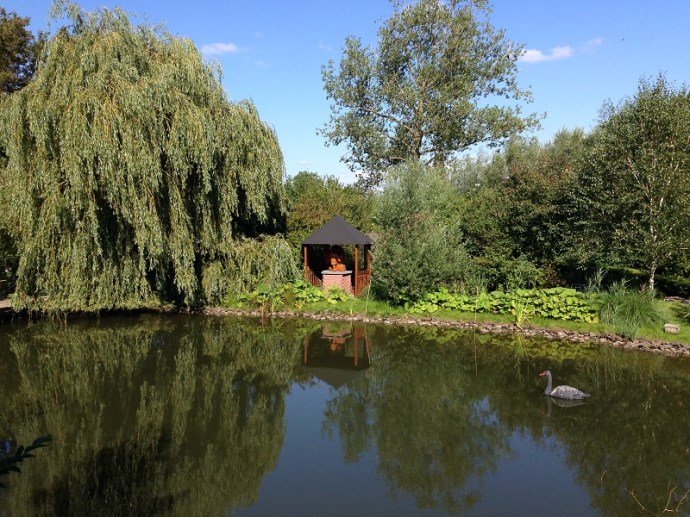 Countryside in the Netherlands