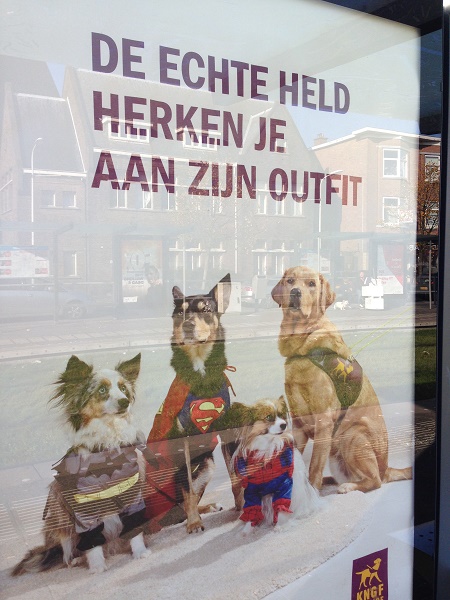 Guide dogs advertisement at tram stop in The Hague
