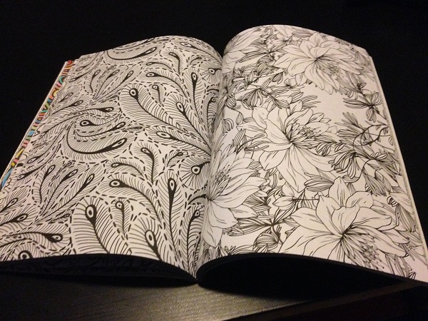 Adult coloring book (blank pages)