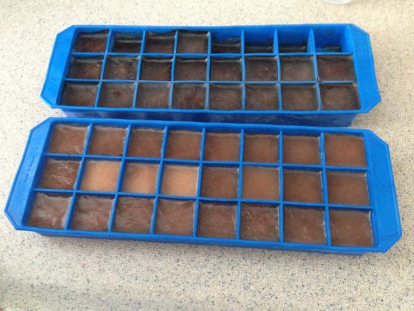 Coffee ice cubes (top) chocolate and agave ice cubes (bottom)