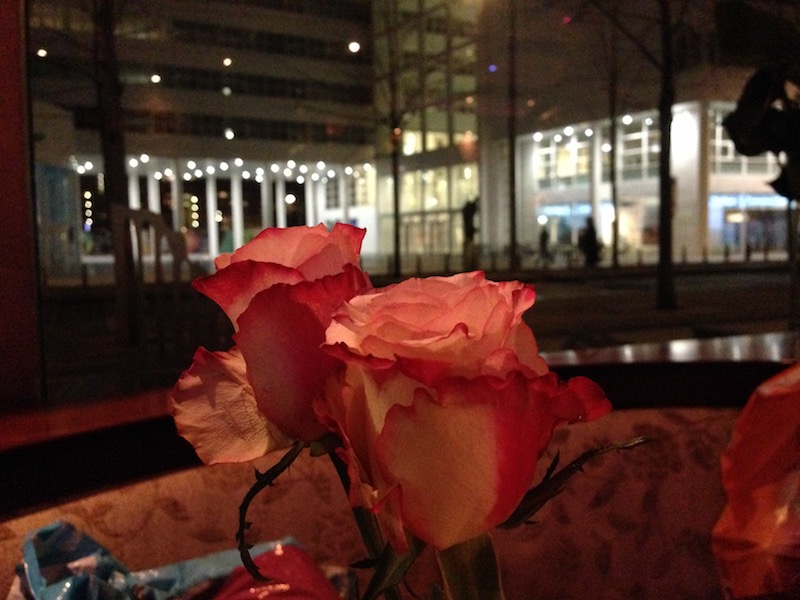 roses-by-athene-palace-in-the-hague