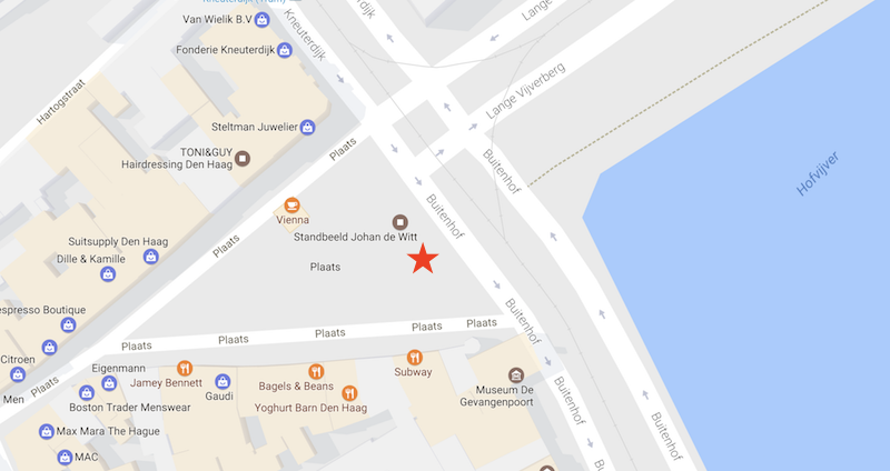 De Plaats, The Hague - Spring time flowers