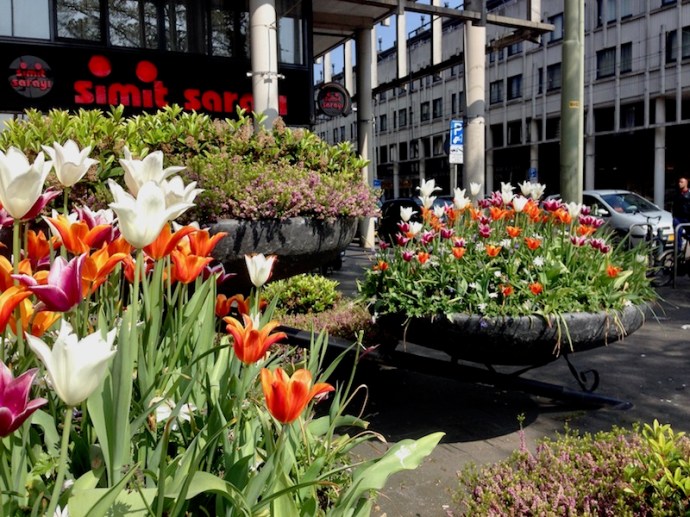 Flowers by Hobbemaplein, The Hague