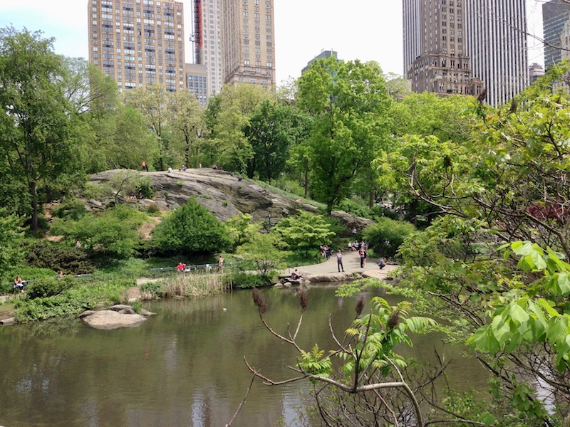 Central Park in New York City