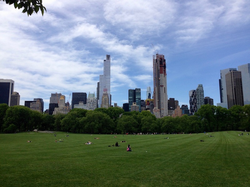 View from Central Park - skyline construction
