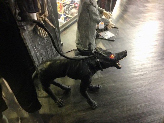 Dog halloween decoration at SoLow, The Hague