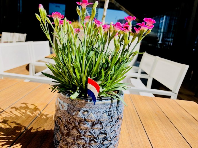 Flowers at the Hof House in The Hague