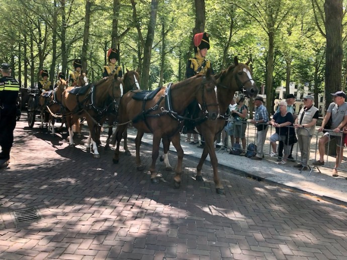 Veterans Day 2018 in The Hague - horses